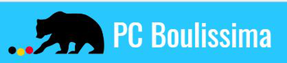 Logo of the club PC Boulissima Bern in Bern - Switzerland