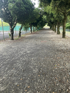 Petanque court of the club Gifu University Pétanque Circle - Gifu-shi - Japan